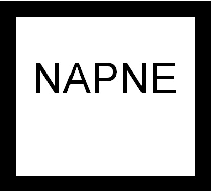 Ícone Napne